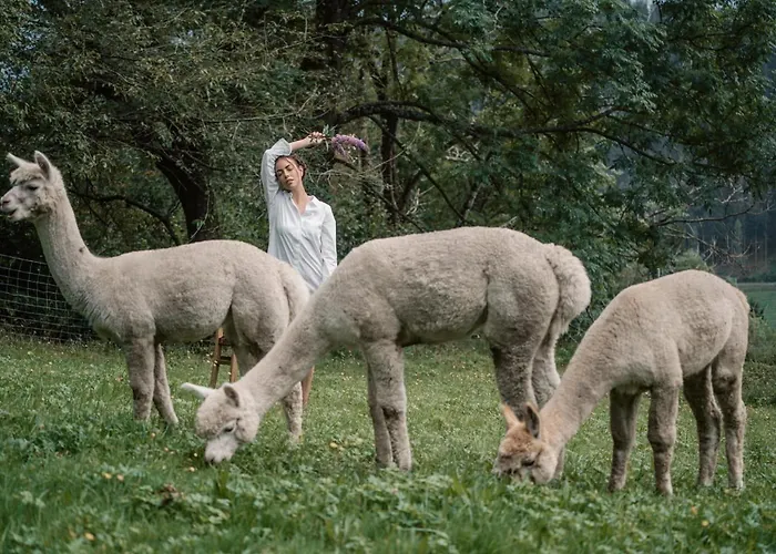 Luxgut - Rebecca Chalet *