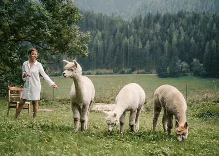 Luxgut - Rebecca Zmollach